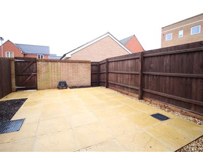 Picture 20